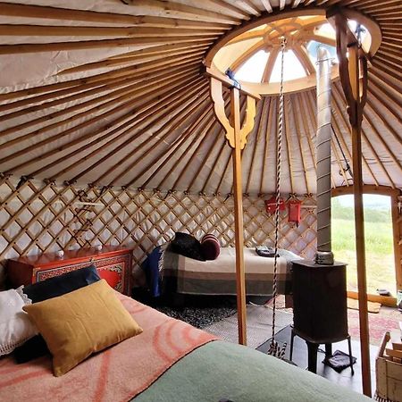 Iceland Yurt Akureyri Exteriör bild
