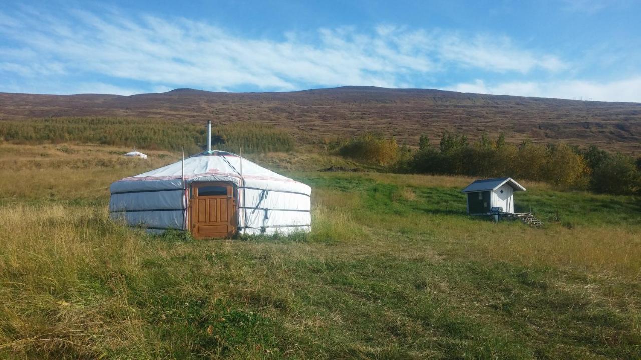 Iceland Yurt Akureyri Exteriör bild