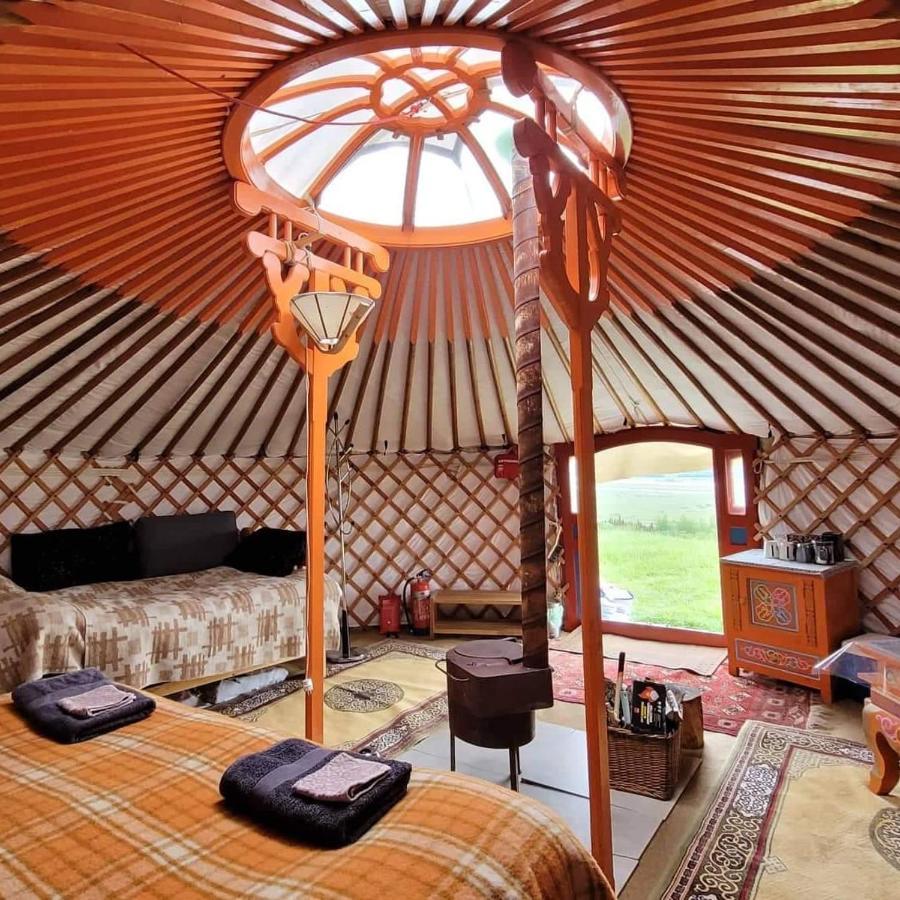 Iceland Yurt Akureyri Exteriör bild