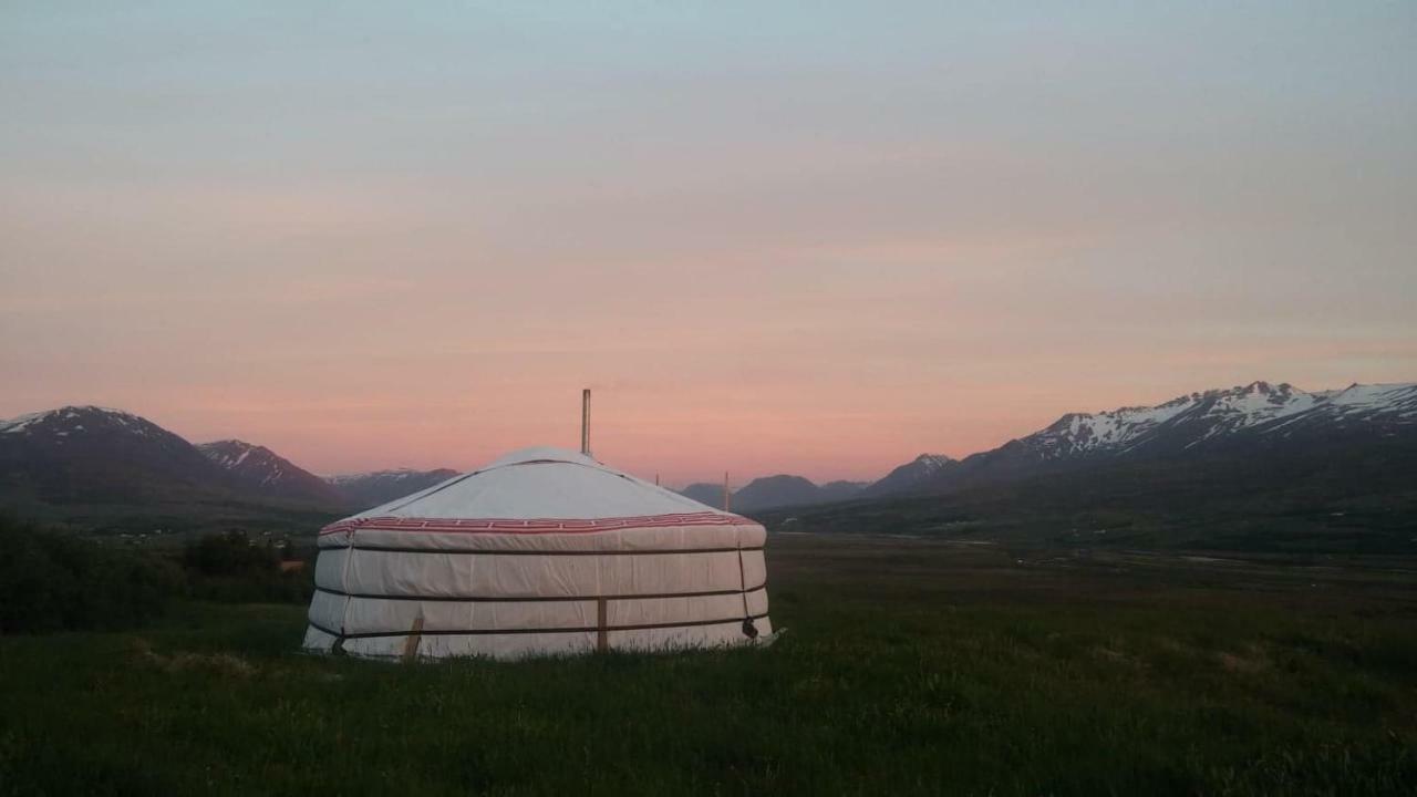 Iceland Yurt Akureyri Exteriör bild